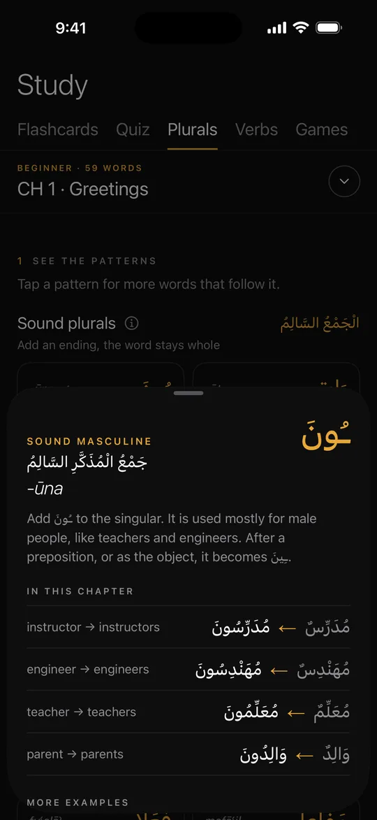 The sound masculine plural, جَمْعُ الْمُذَكَّرِ السَّالِم, opened in Plurals: add ـُونَ, with examples such as مُعَلِّم to مُعَلِّمُونَ, teacher to teachers